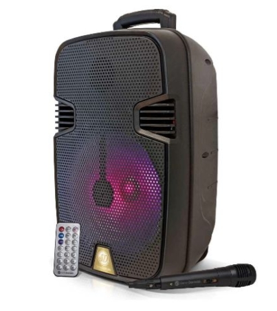 SD-13 SISTEMA DE AUDIO MULTIMEDIA