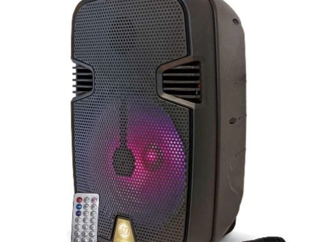 SD-13 SISTEMA DE AUDIO MULTIMEDIA