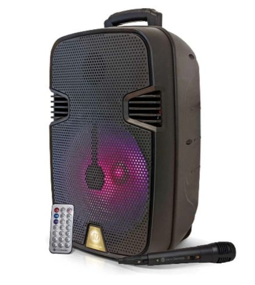 SD-13 SISTEMA DE AUDIO MULTIMEDIA