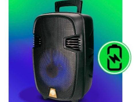 SD-801 SISTEMA DE AUDIO MULTIMEDIA