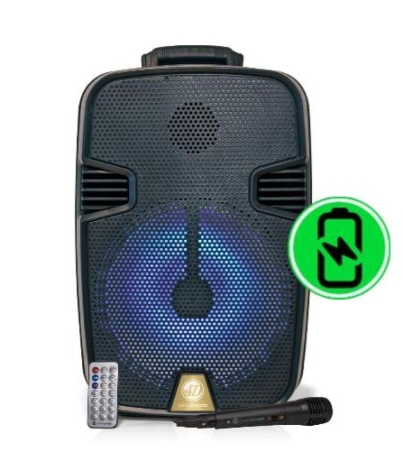SD-12-SISTEMA-DE-AUDIO-MULTIMEDIA.jpg